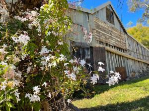 Capers Cottage and Barn Accommodation