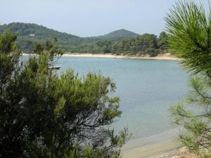 Mobil-home 35m² avec terrasse pour 8 personnes, accès handicapé - API-1-52-384