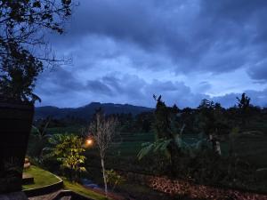 Tranquil Riverside Camping