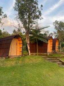 Tranquil Riverside Camping