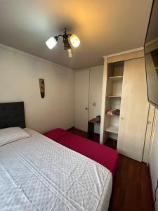 Apartamento en Santiago ,centro histórico, Dos Dormitorios, Cocina, Lavadora, WiFi y Home Office Cerca Metro Santa Ana
