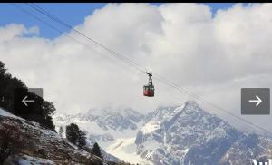 Natural & Cozy Homestay