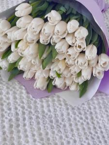 Апартаменты Нежность у моря