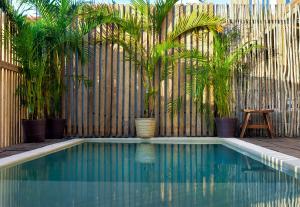 Casa Numa 1BR Suite 3 with Pool & Rooftop Views