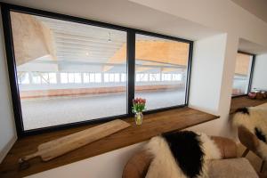 Ferien auf dem Pferdehof