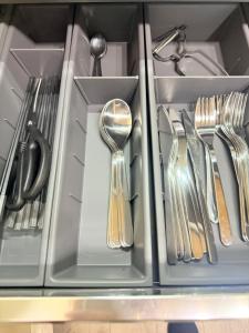 Nakakasai Kodate NKK21