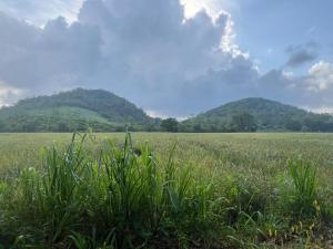 Natures Nook Homestay