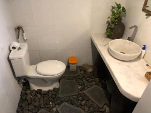 Hoi An Mercy homestay