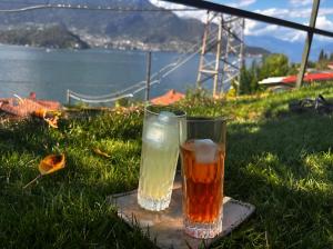 Mella house garden relax