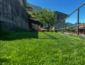 Mella house garden relax