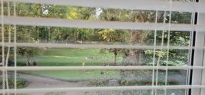 Central Apartment Brighton