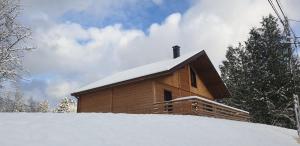 Chalet Les Noisetiers