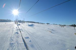 Appartements Pretty ski nest in Gerardmer : Appartement
