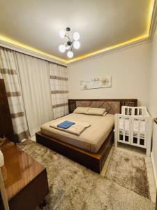 شقه فاخره لك بالكامل