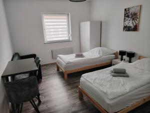 3 Zimmer Wohnung in Altendorf