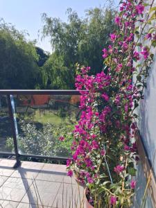 B&B / Chambres d'hotes Nuitee d-Opale : photos des chambres