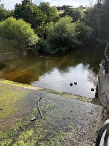 Luxury Apartment in Yarm, surrounded by nature walks, and Yarm High Street, Famous Roseberry Topping