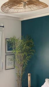 B&B / Chambres d'hotes Les murmures de l-eau, chambre d-hotes avec jacuzzi : photos des chambres