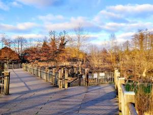 Bungalow in Lübben with a terrace