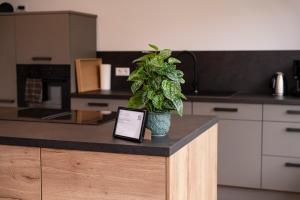 Boutique Studio im Herzen TBBs