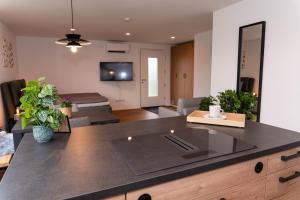 Boutique Studio im Herzen TBBs