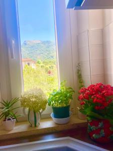 Casa La Wanda - Camaiore Toscana - 2 Br & Terrace