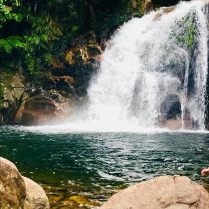 Rainforest Nature House