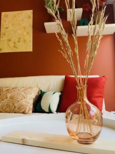 Appartements La Perle : photos des chambres