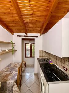Green Door House