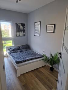 Apartament dworska Brzezno