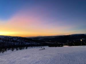 Nybyggd stuga i Orrliden