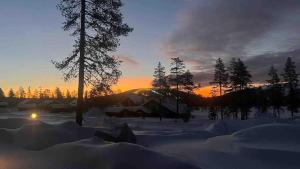 Nybyggd stuga i Orrliden