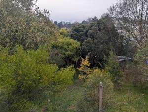 Your CBD Treetop Base | Parking, Wifi & Views