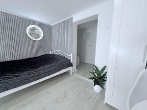 Apartament Wszystkie Gwiazdy Kopernika