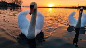 SWKD - Kameralne Apartamenty