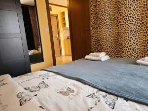 Cozy one-bedroom apartment at Pirin foothills