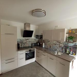 Ferienwohnung mit Blick auf die Moselloreley