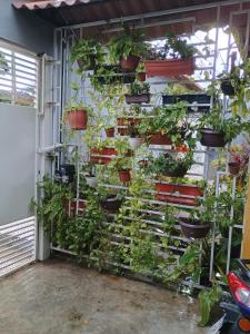 Spacious COP 30 home - Casa espaçosa COP 30