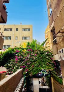 بجوار جنينة مول خطوات من ستي ستار