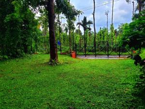 Greens Tree House & Wood House