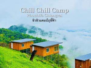 ชิวชิวแคมป์ ภูชี้ฟ้า