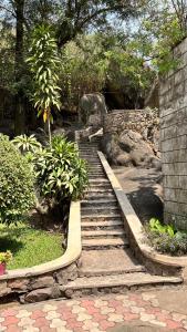 Mambo & Jambo Homestay