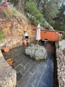 Dúplex de invitados en medio del bosque