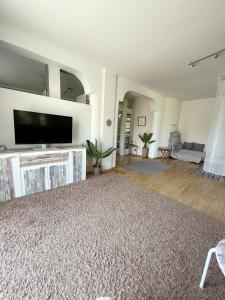 Big Apartment With Garden