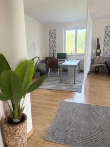 Big Apartment With Garden
