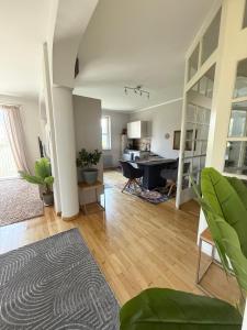 Big Apartment With Garden