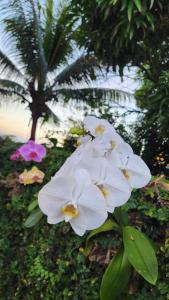 Pousada Casa de Beata