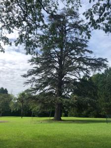 Maisons de vacances Chateau l-haurie with large garden, swimming pool and games room : photos des chambres