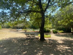 Villas La Bastide des Chenes Lacoste : photos des chambres