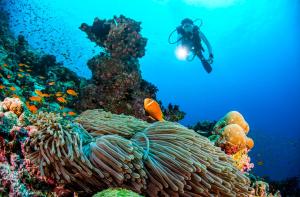 Mudhdhoo Island, Baa Atoll, Maldives.